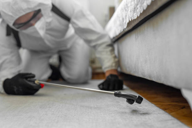 Professional Pest Control technician working in Steele County County, MN